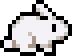white rabbit sprite